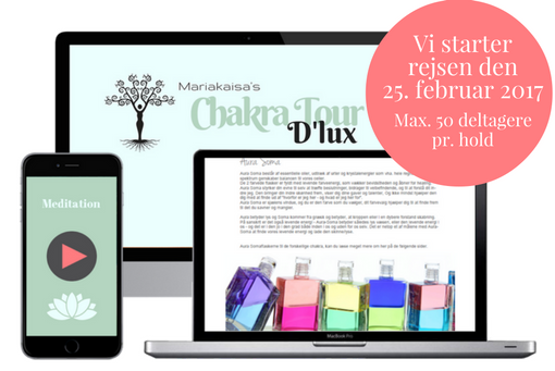 Chakratour d´lux starter 25. februar 2017
